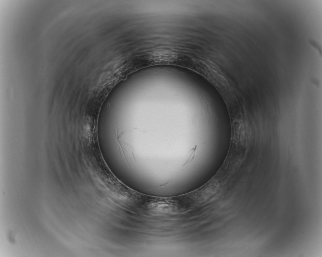 X0000100400655200806131014