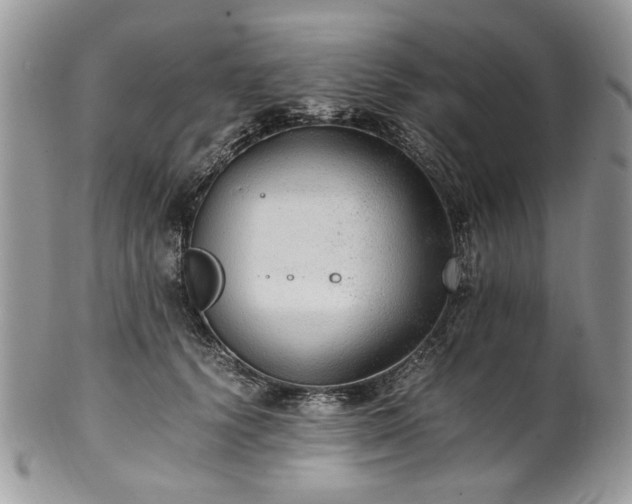 X0000100400656200806131014