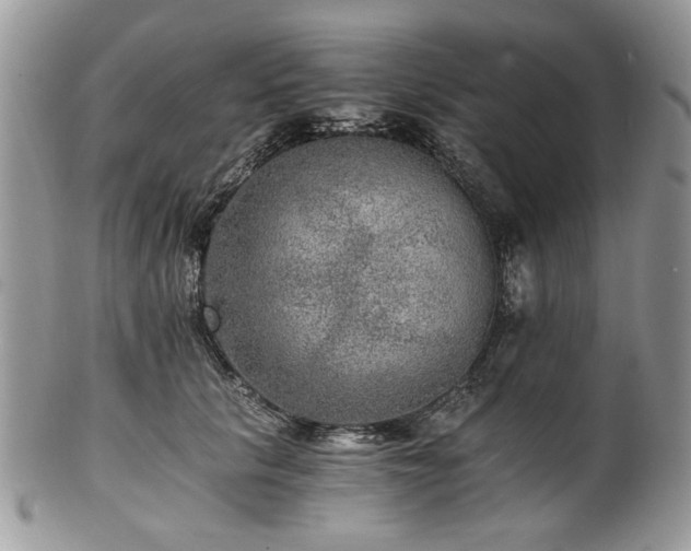 X0000100400657200806131014