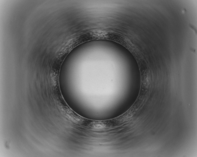 X0000100400658200806131014
