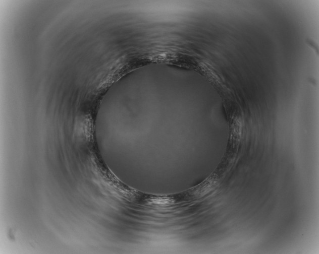X0000100400659200806131015