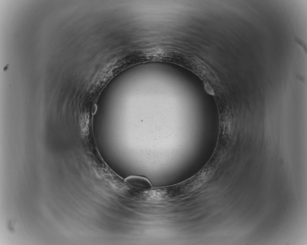 X0000100400660200806131015