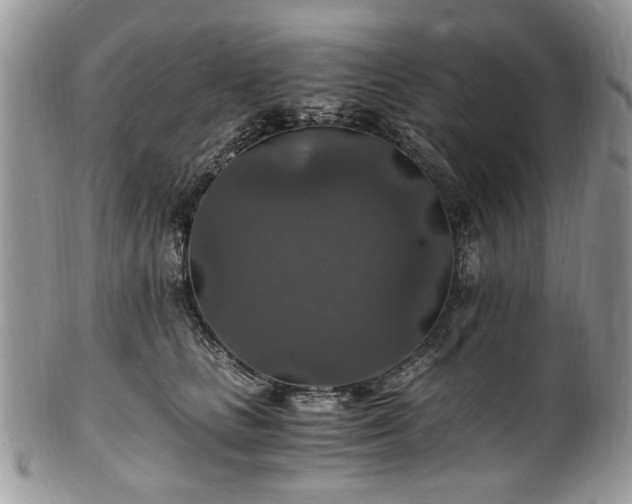 X0000100400661200806131015