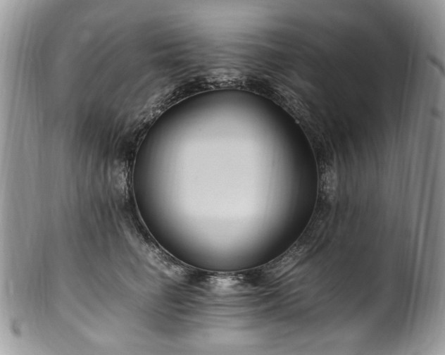 X0000100400662200806131015