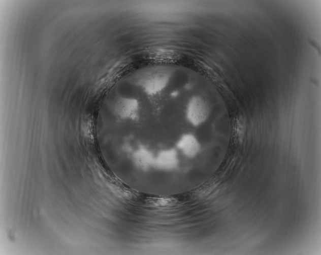 X0000100400663200806131015