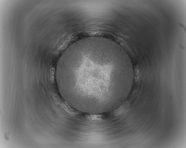 X0000100400664200806131015