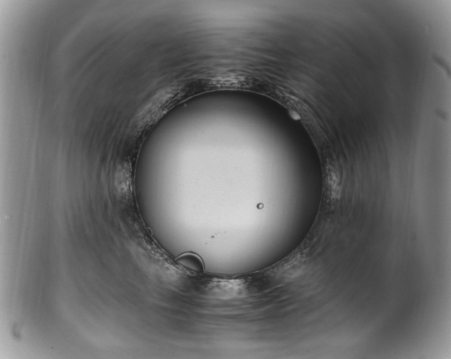 X0000100400665200806131015