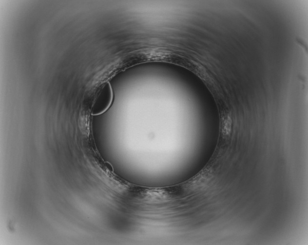 X0000100400666200806131015