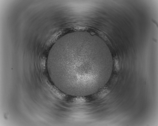 X0000100400668200806131015