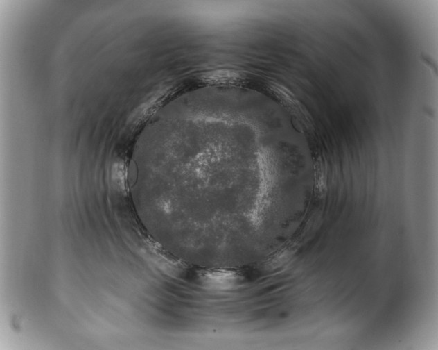 X0000100400669200806131015
