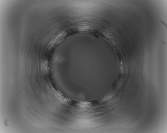 X0000100400670200806131015