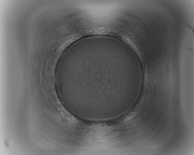 X0000100400673200806131014