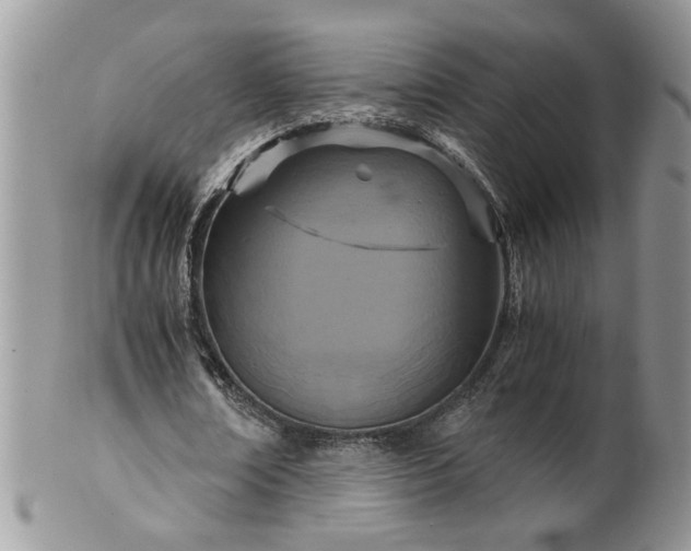 X0000100400674200806131014