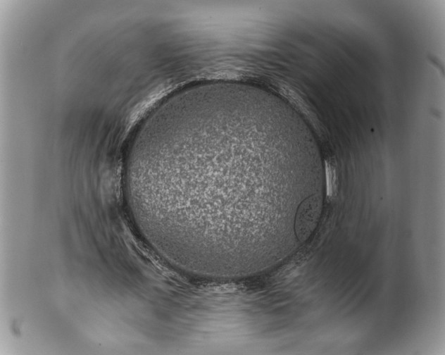 X0000100400675200806131014