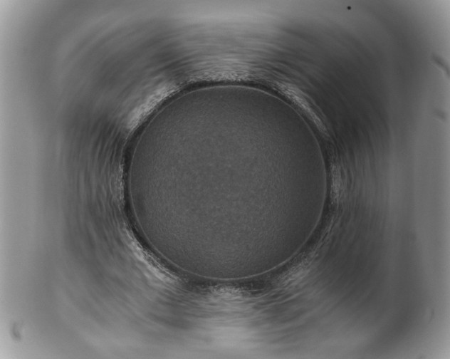 X0000100400677200806131014