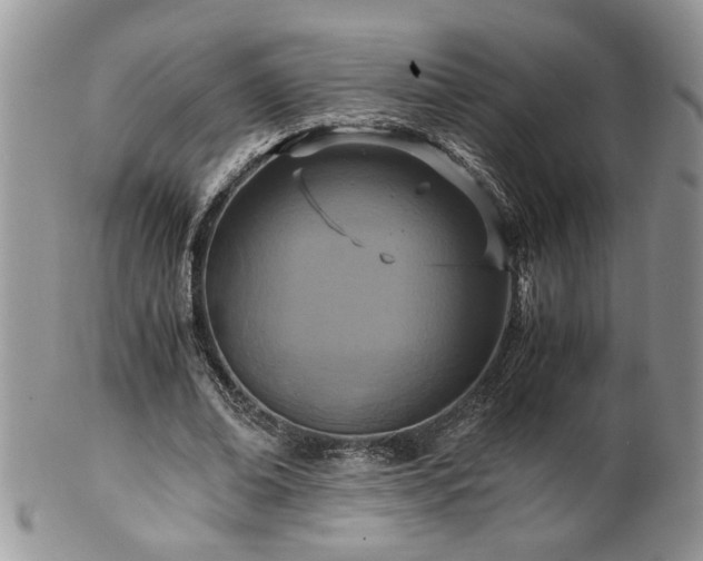 X0000100400678200806131014