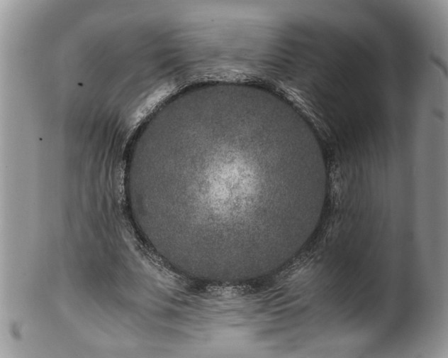 X0000100400679200806131014