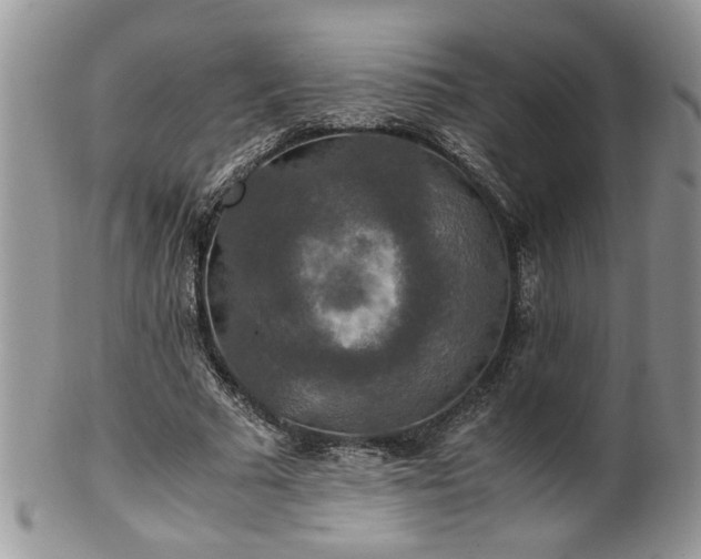 X0000100400681200806131014