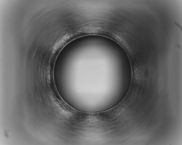 X0000100400682200806131014