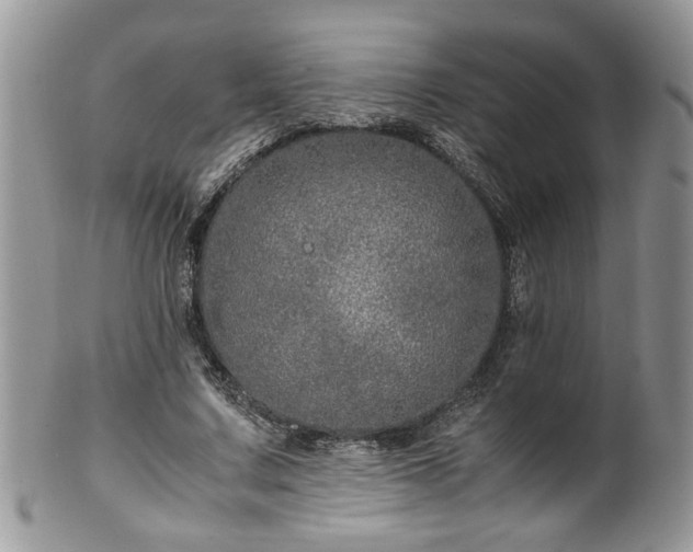 X0000100400683200806131014