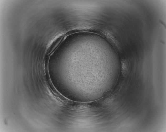 X0000100400684200806131014