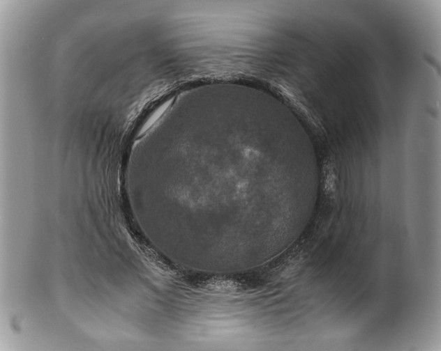 X0000100400685200806131014