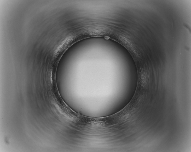 X0000100400686200806131014