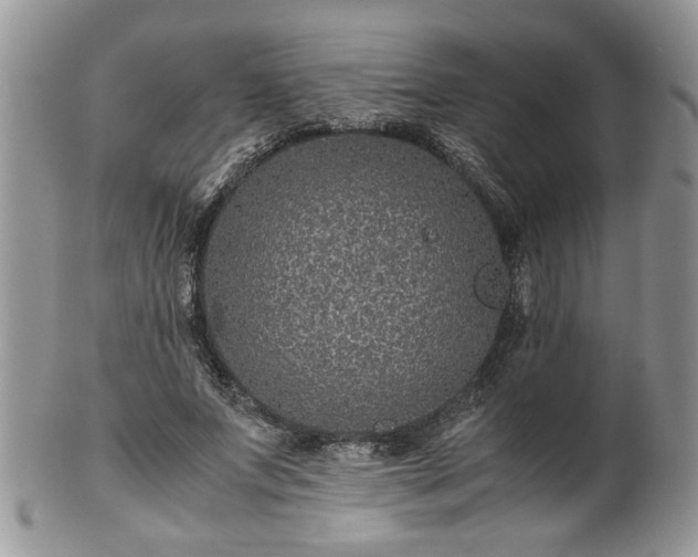 X0000100400687200806131014