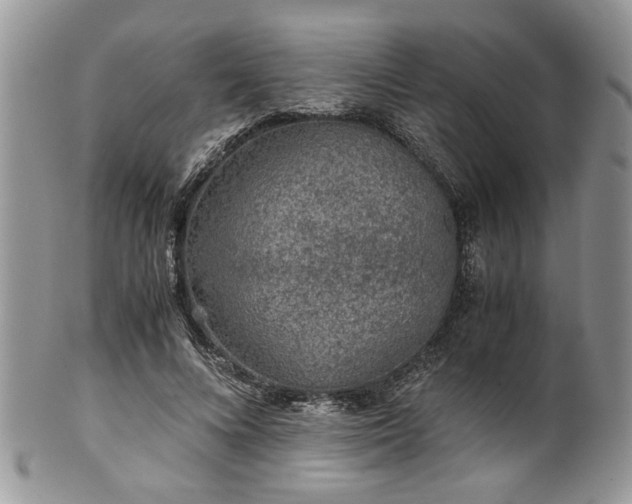 X0000100400688200806131014