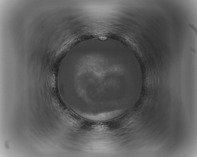 X0000100400689200806131014