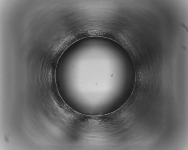 X0000100400690200806131014