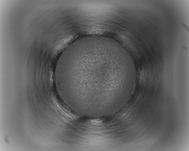 X0000100400692200806131014
