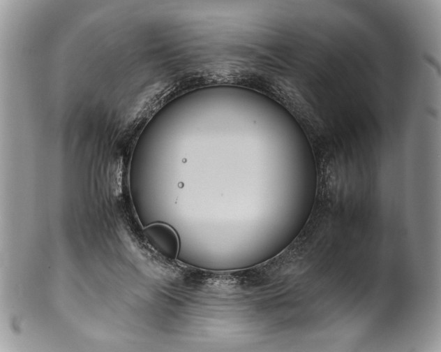 X0000100400694200806131014