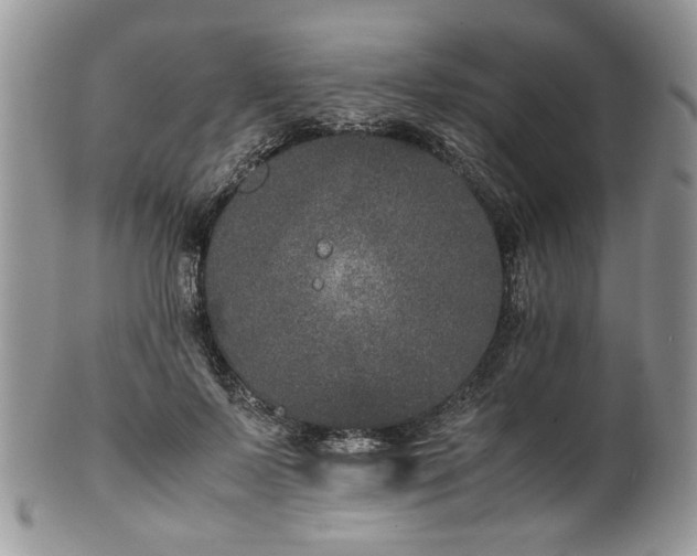 X0000100400695200806131014