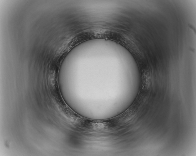 X0000100400698200806131014