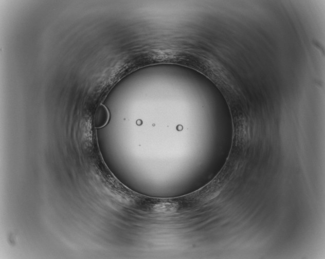 X0000100400700200806131014