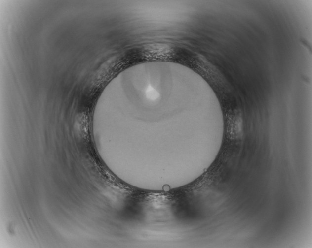 X0000100400701200806131014