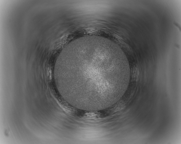 X0000100400703200806131014