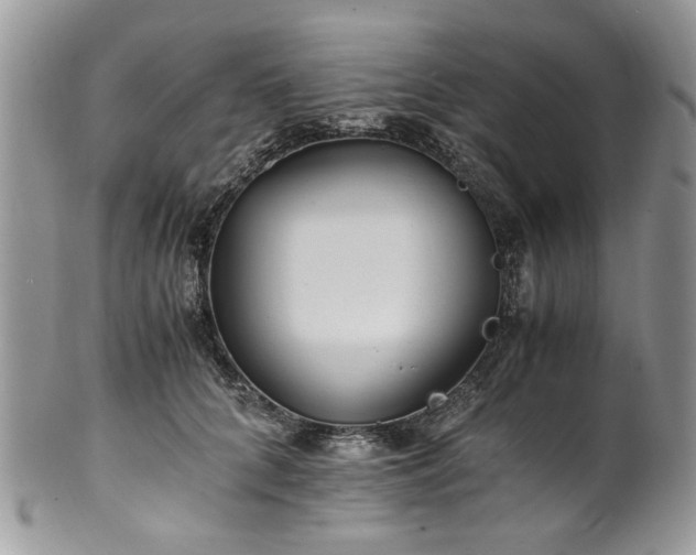 X0000100400704200806131014