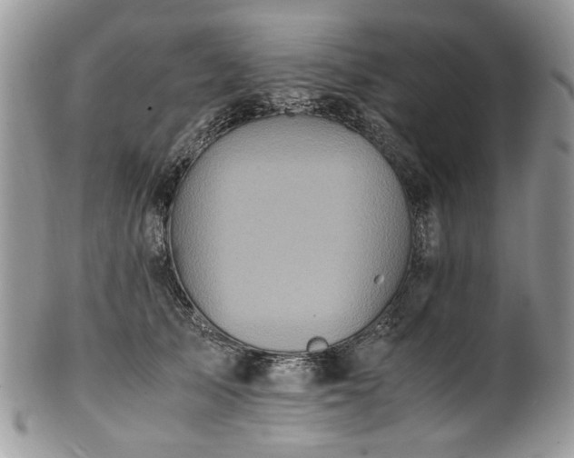 X0000100400705200806131014