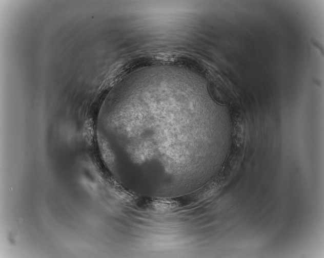 X0000100400707200806131014