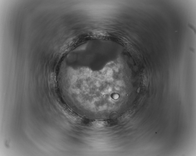 X0000100400711200806131014