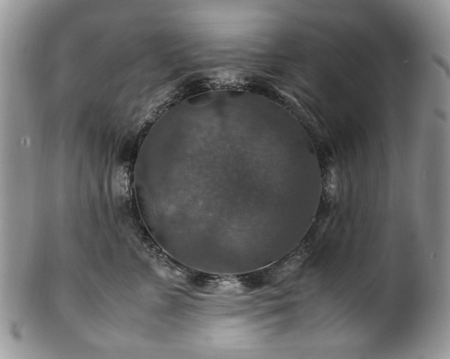 X0000100400715200806131013