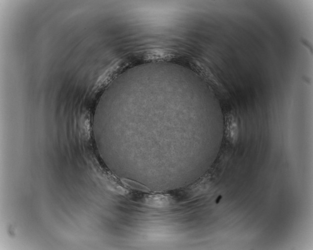 X0000100400716200806131013