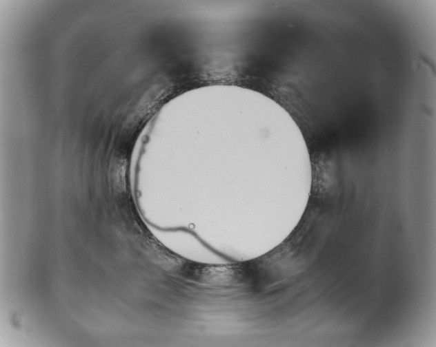 X0000100400717200806131013