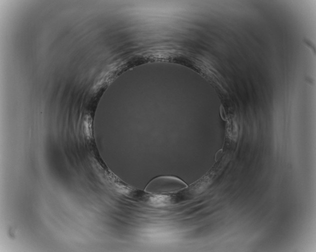 X0000100400718200806131013