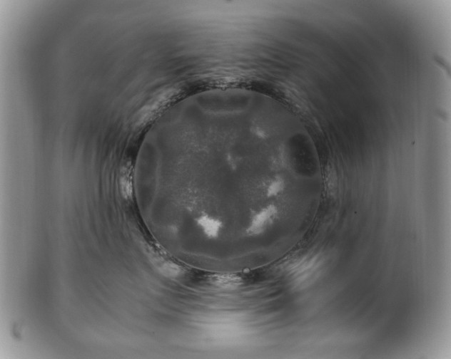 X0000100400719200806131013