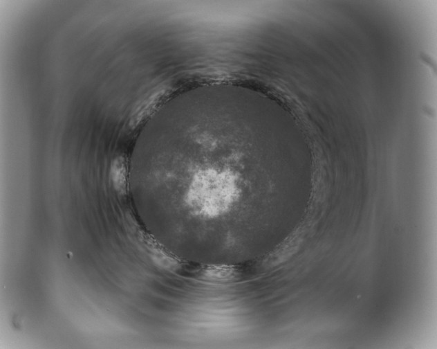 X0000100400720200806131013