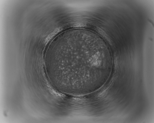 X0000100400721200806131013