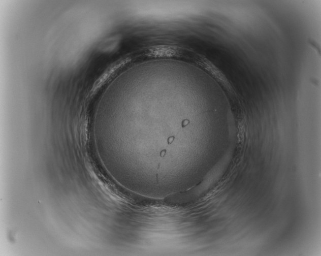 X0000100400722200806131013
